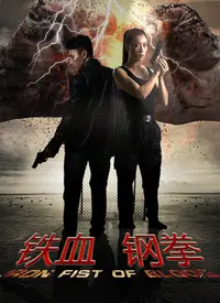 《铁血刚拳》：这片子也太‘爆笑’了吧！退休特工的复仇，我给满分！