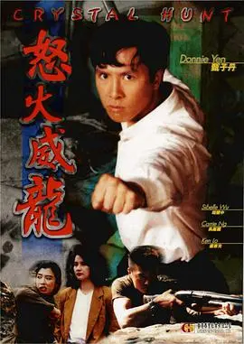 《怒火威龙 怒火威龍》：热血青春不散场！那些年我们一起追的港风警匪情，炸裂的动作场面与兄弟情谊！