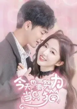 《今天也要努力当只猫》：都市治愈系萌宠喜剧，一场关于爱与成长的温馨冒险